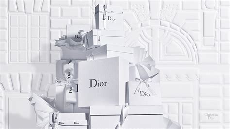 Christian Dior official website USA